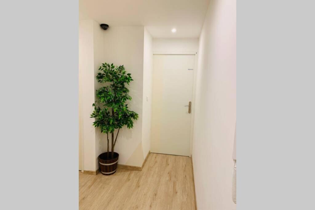 Provence Appartement 马诺斯克 外观 照片